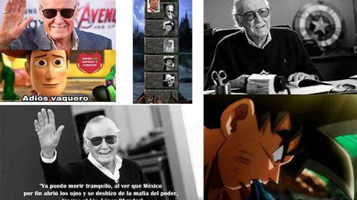 memes-stan lee